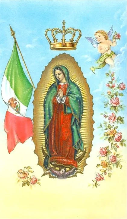 8-GUM-66022ba3-1920w