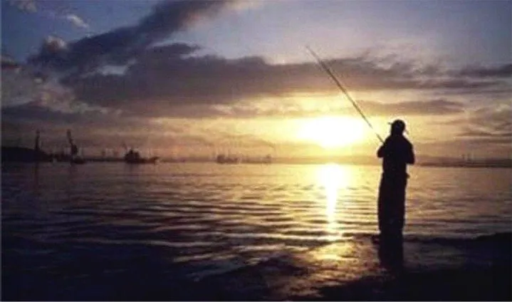 bella-fish1-87f52a13-1920w